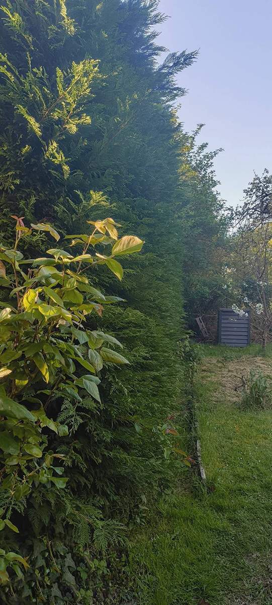 490070697 1250014697132801 78526849 dd19