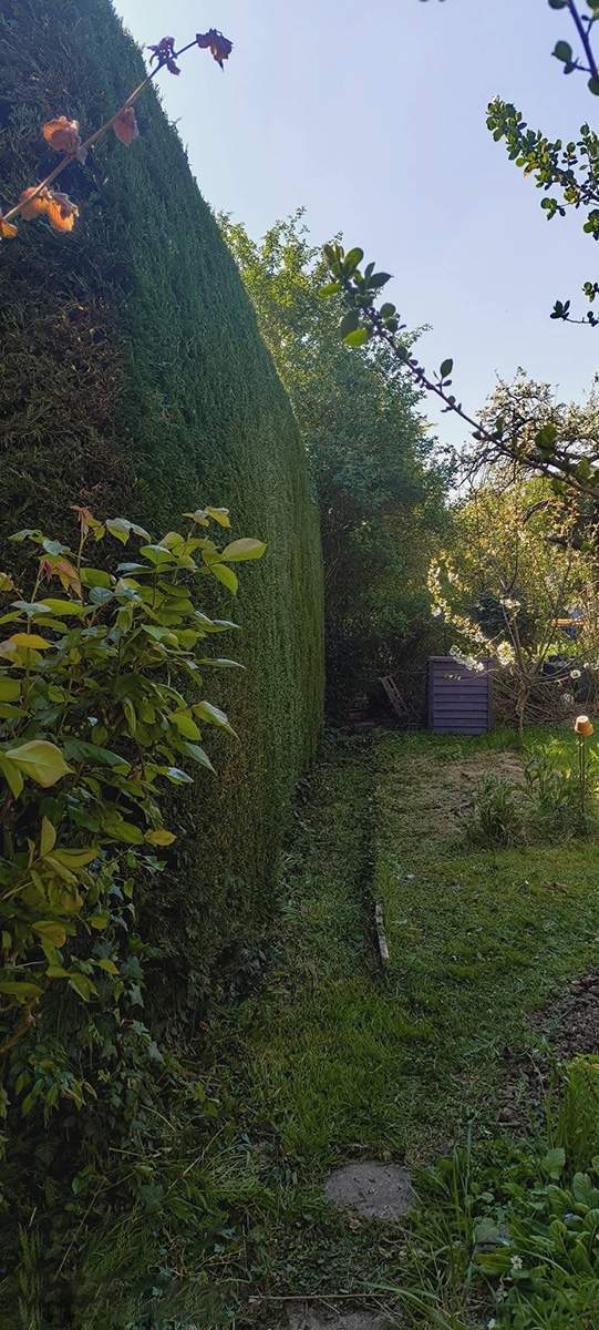 490097868 1250014740466130 66969722 4731