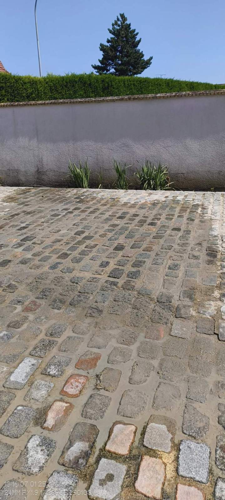 514973475 1321941693273434 8214346647336349118 n