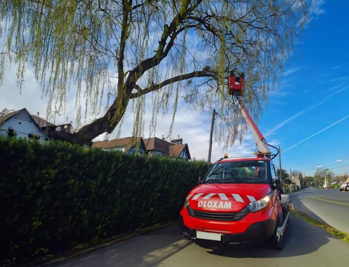 Travaux d'élagage Breuillet