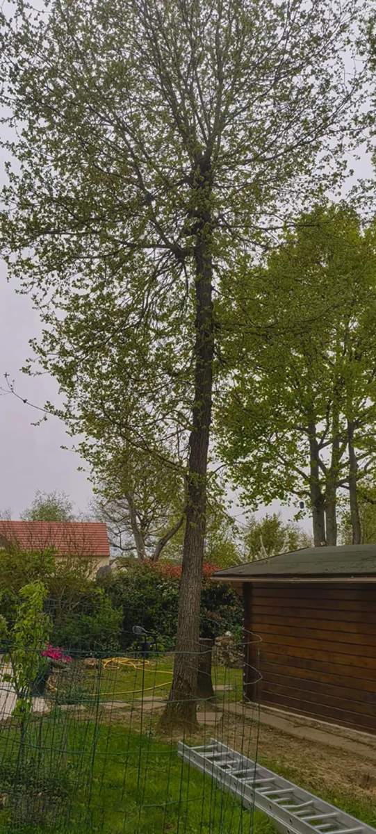 Entretien d'espaces verts