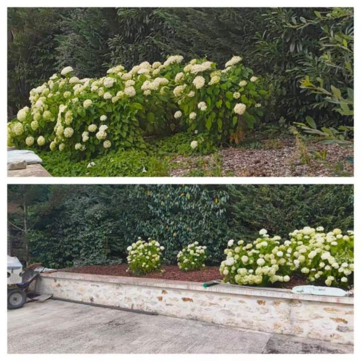 Aménagement paysager sur mesure Breuillet